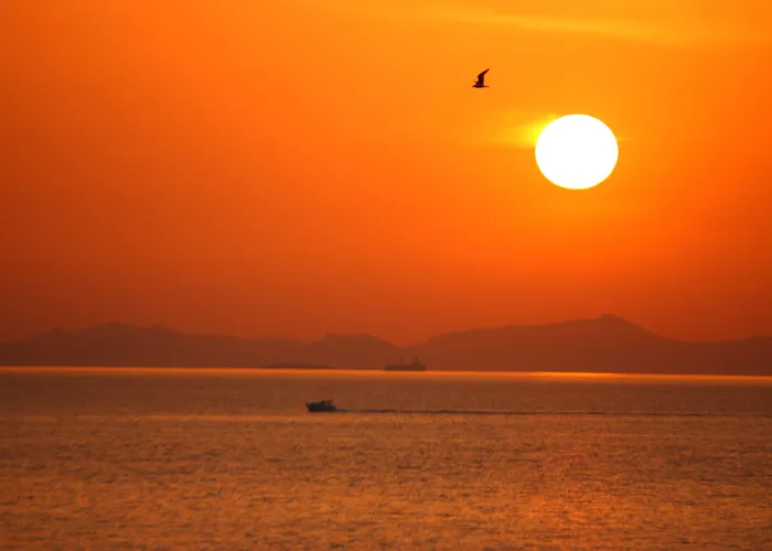 Semesteranläggning (resort) Dragut Point North 3*